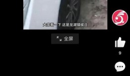 知情人爆料郑州事件视频,真相与争议交织的瞬间
